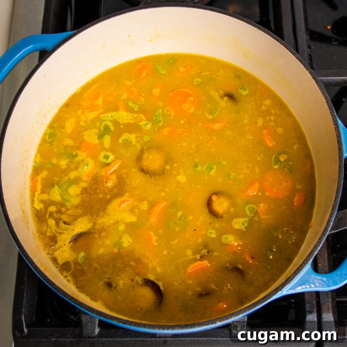 Vegetables and broth in a dutch oven cooking.