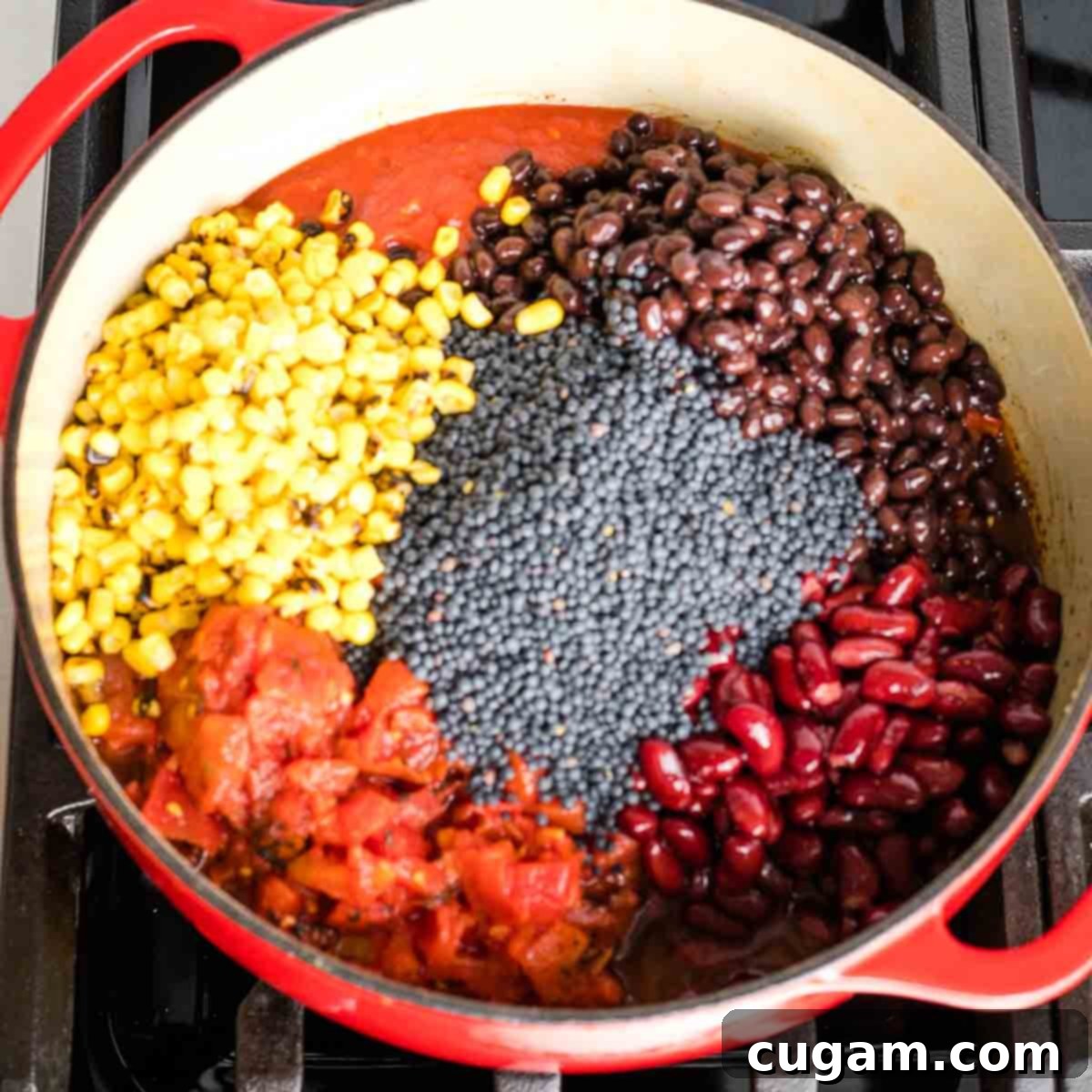 Quick and Easy Vegan Lentil Chili 8 Dutch oven with chili ingredients. Visible is canned diced tomatoes, black beans, kidney beans, frozen corn and dried black beluga lentils.