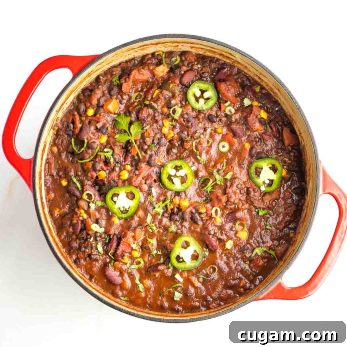 Quick and Easy Vegan Lentil Chili 10 Dutch oven filled with thick vegan lentil chili topped with jalapeno slices and fresh cilantro.