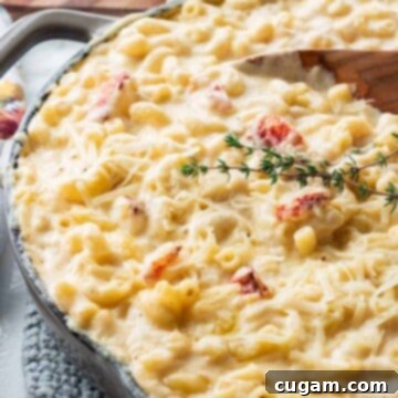 Pan of cooked lobster mac and cheese on blue pot holder with wooden spoon.