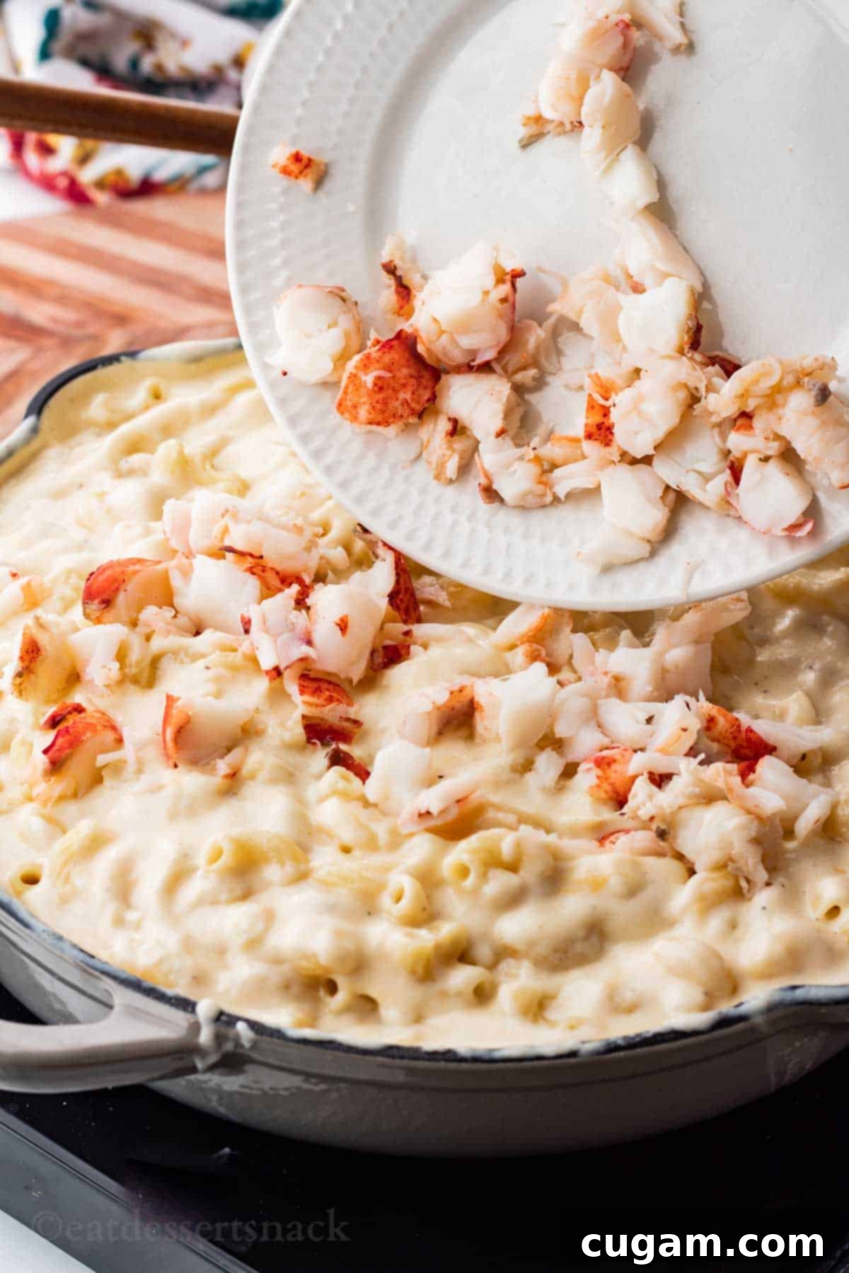 A white plate carefully pouring cooked lobster meat pieces into a large frying pan filled with cooked pasta and creamy cheese sauce.