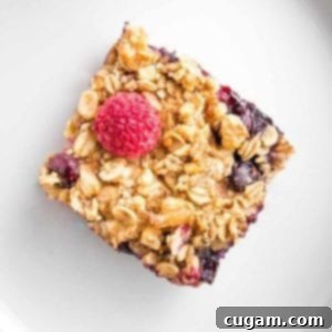 A close-up of a perfectly baked square of berry baked oatmeal, exquisitely topped with a bright red raspberry and a scattering of fresh blueberries, alongside the crunchy oat and nut topping.