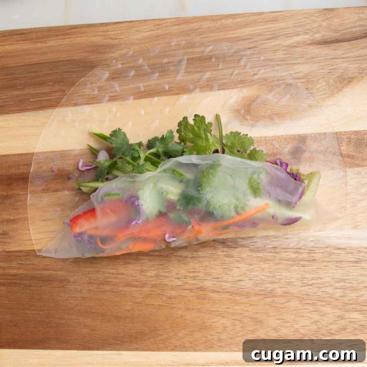 Crisp Veggie Spring Rolls with Creamy Peanut Sauce 12 Soften rice paper wrapper filled with fresh veggies. Beginning of the rolling process with the bottom edge lifted up.