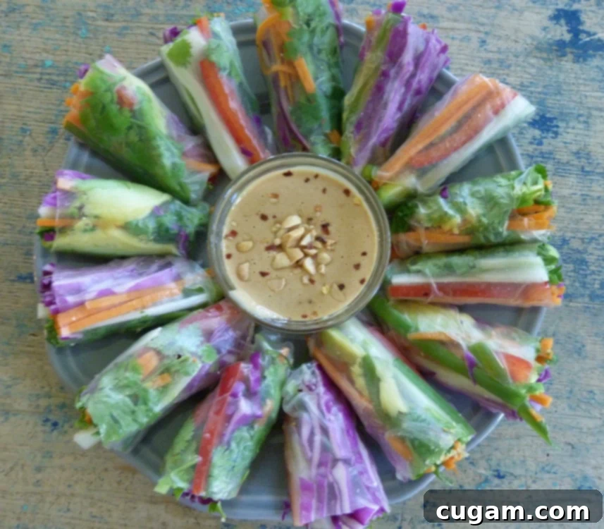 Crisp Veggie Spring Rolls with Creamy Peanut Sauce 20 Veggie Spring Rolls with Peanut Dipping Sauce