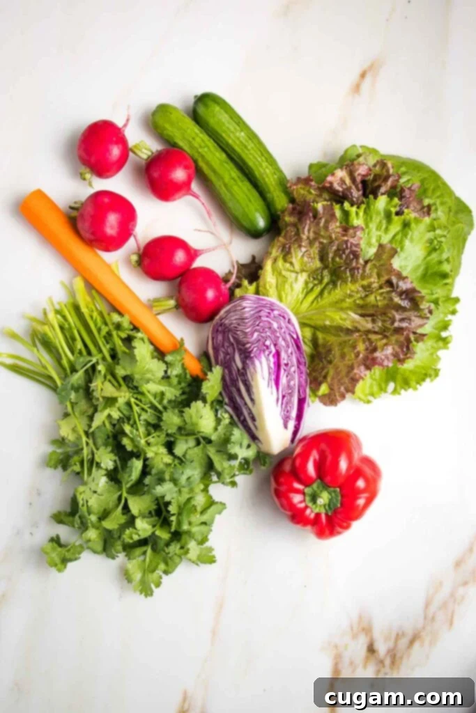 Crisp Veggie Spring Rolls with Creamy Peanut Sauce 3 Raw ingredients for spring rolls: lettuce leaves, red bell pepper, purple cabbage, radishes, cucumbers, carrot and fresh cilantro.