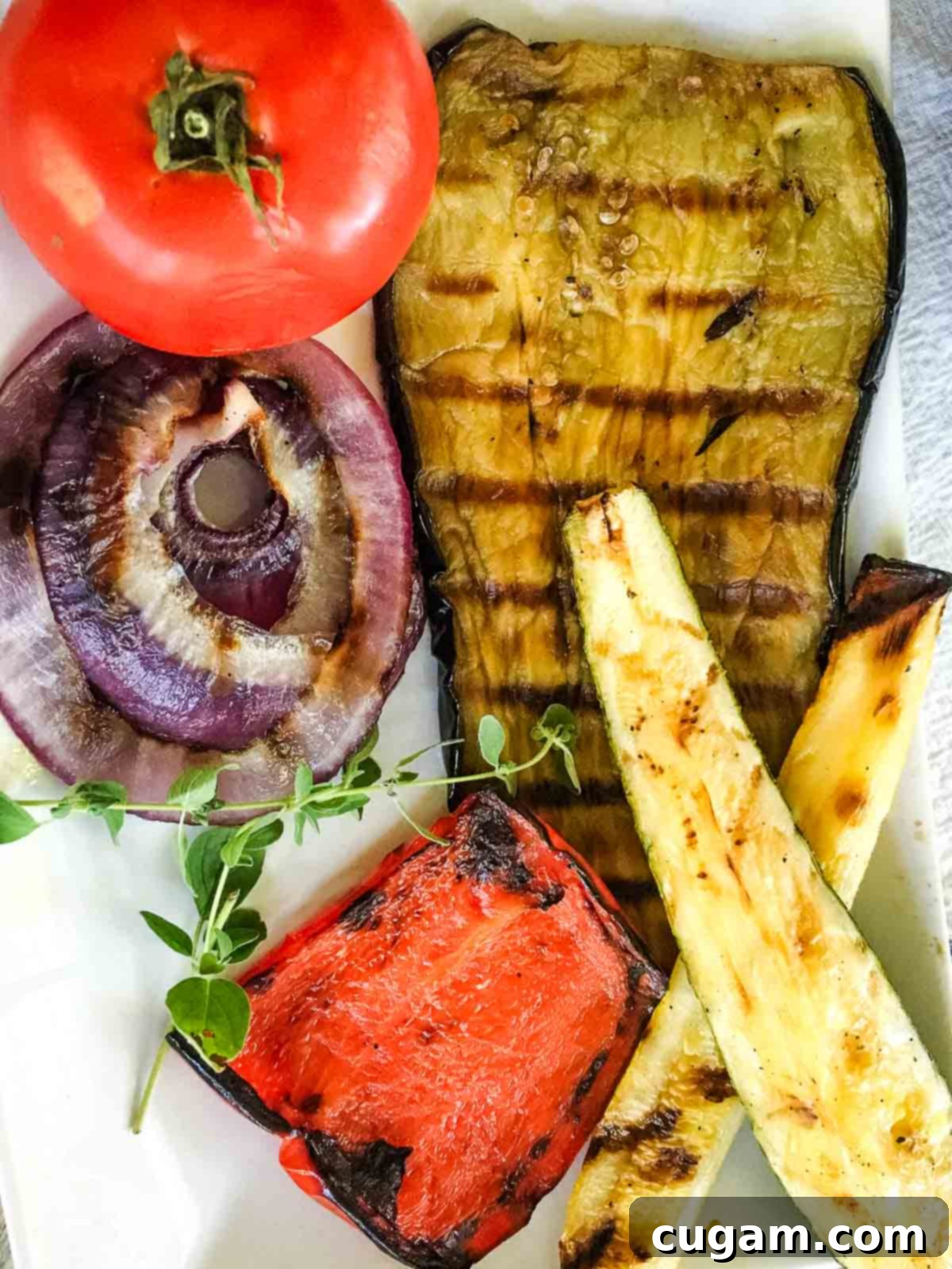 Assortment of fresh, raw vegetables including a purple eggplant, vibrant red onion, bright red bell pepper, green zucchini, yellow squash, and a ripe red tomato, all ready for careful preparation and grilling.