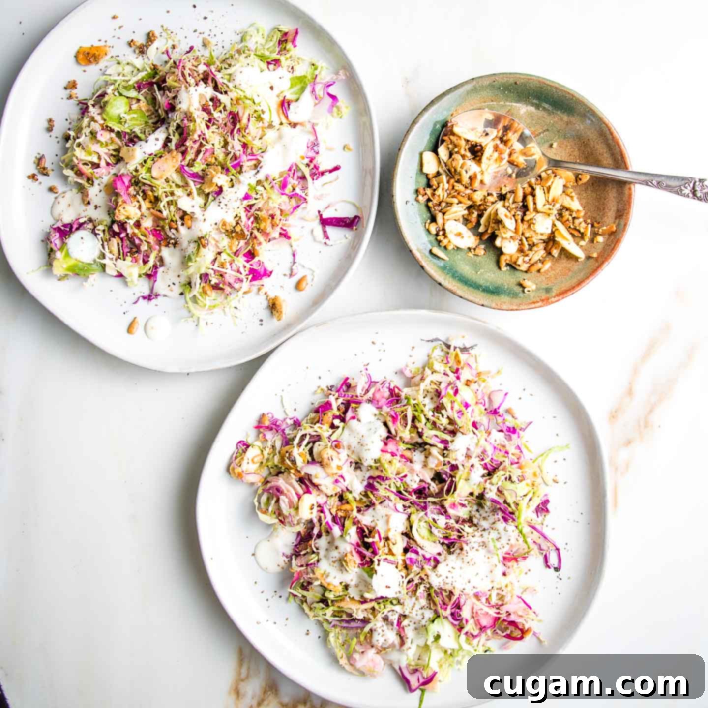 Shaved Brussels Sprout Slaw 2 Brussels Sprouts Salad on two white plates with colorful red cabbage, drizzled with a creamy, dairy-free dressing and some toasted nuts/seeds with a little bowl of nuts and seeds and a spoon.