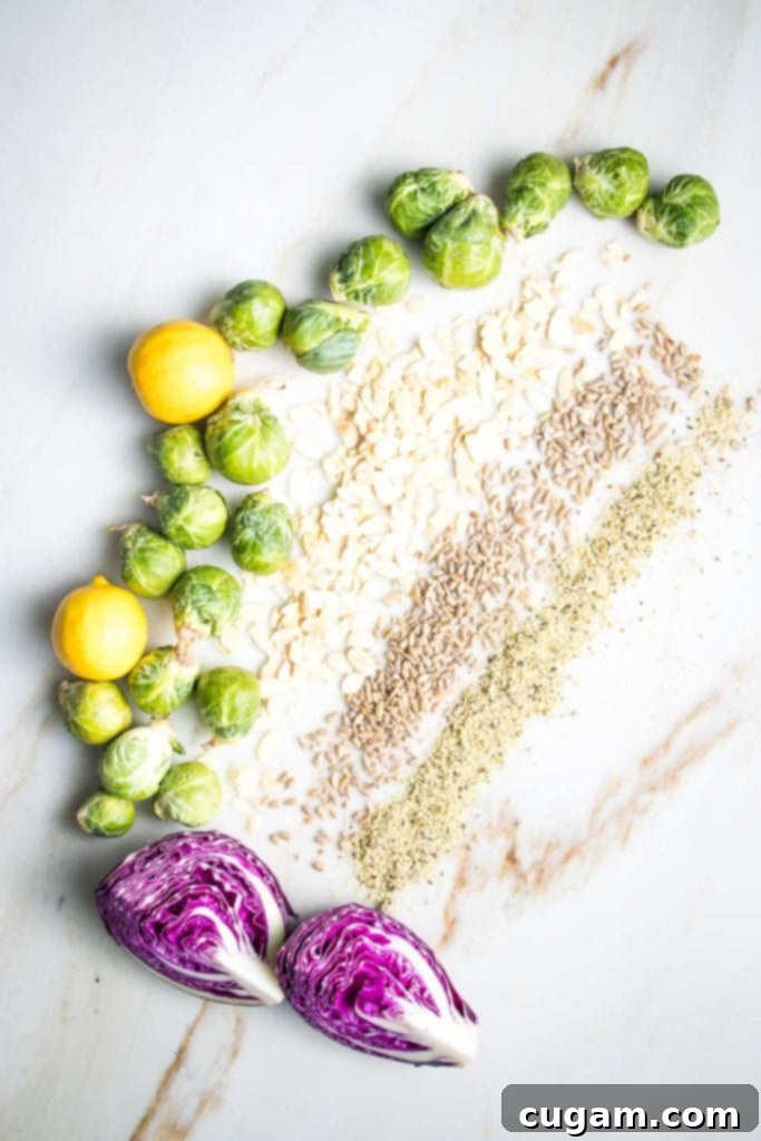 Shaved Brussels Sprout Slaw 3 A gorgeous display of ingredients for Shredded Brussels Sprouts Salad: sprouts, purple cabbage and lemons arranged freeform like a giant letter "C" and then stripes of scattered sliced almonds, sunflower seeds and hemp seeds on a marble countertop flecked with tan and gray abstract markings.