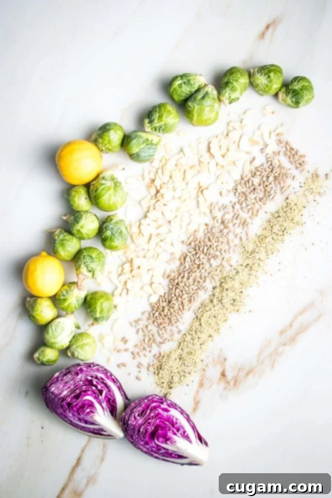 A beautiful flat lay of ingredients for Shredded Brussels Sprouts Salad: fresh green Brussels sprouts, vibrant purple cabbage, and bright yellow lemons are artfully arranged in a "C" shape. Stripes of scattered sliced almonds, golden sunflower seeds, and tiny hemp seeds are spread across a stylish marble countertop flecked with tan and gray markings, highlighting the natural beauty and texture of each component.