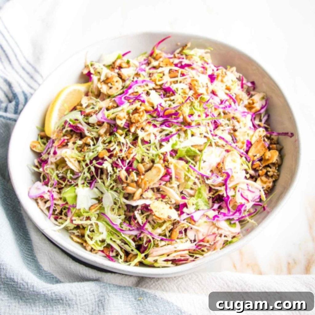 Shaved Brussels Sprout Slaw 6 Brussels sprouts slaw prepped before being dressed with purple cabbage and toasted nuts and lemon juice