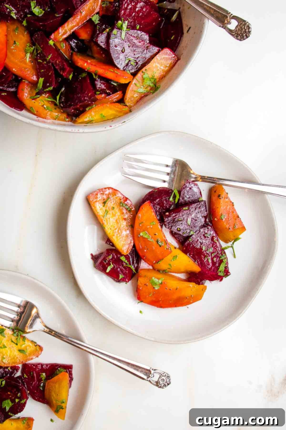 White bowl filled with golden and red beets, cut into wedges, with a vinaigrette and chopped fresh parsley. Roasted beet salad with balsamic vinaigrette. A perfect healthy side dish.
