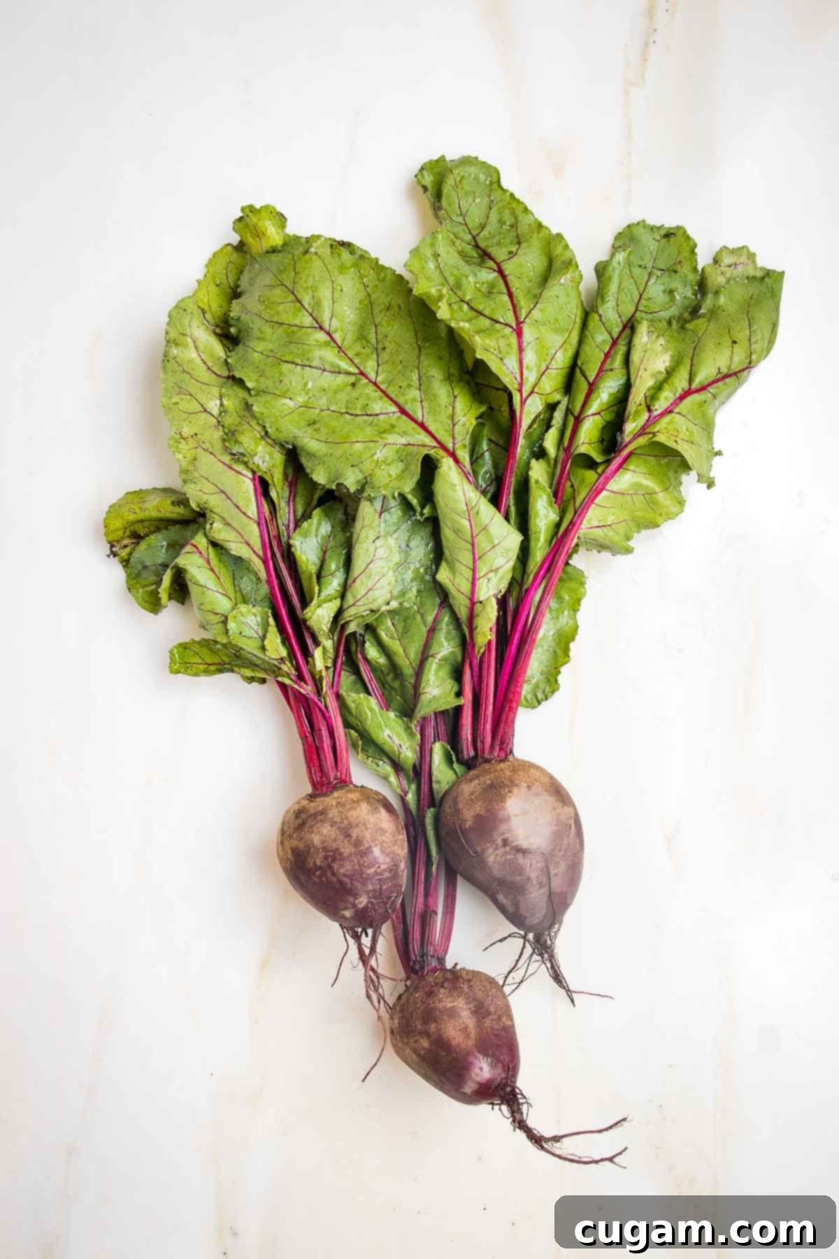 Three large red beets with the beet greens still attached to the beet root, showcasing their natural beauty and freshness.