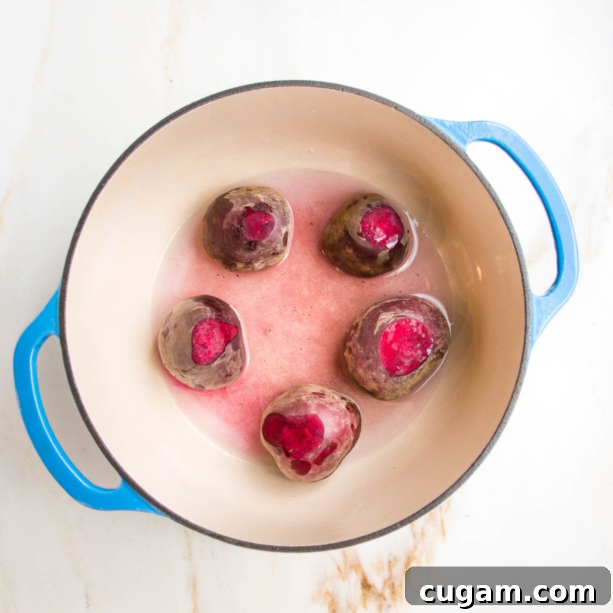 Raw beets, trimmed of beet greens and roots, still whole on the bottom of a dutch oven with 1" of water, ready for roasting.