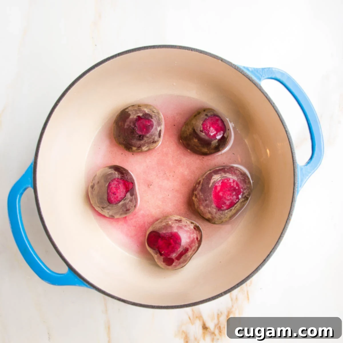 Raw beets, trimmed of beet greens and roots, still whole on the bottom of a dutch oven with 1" of water.