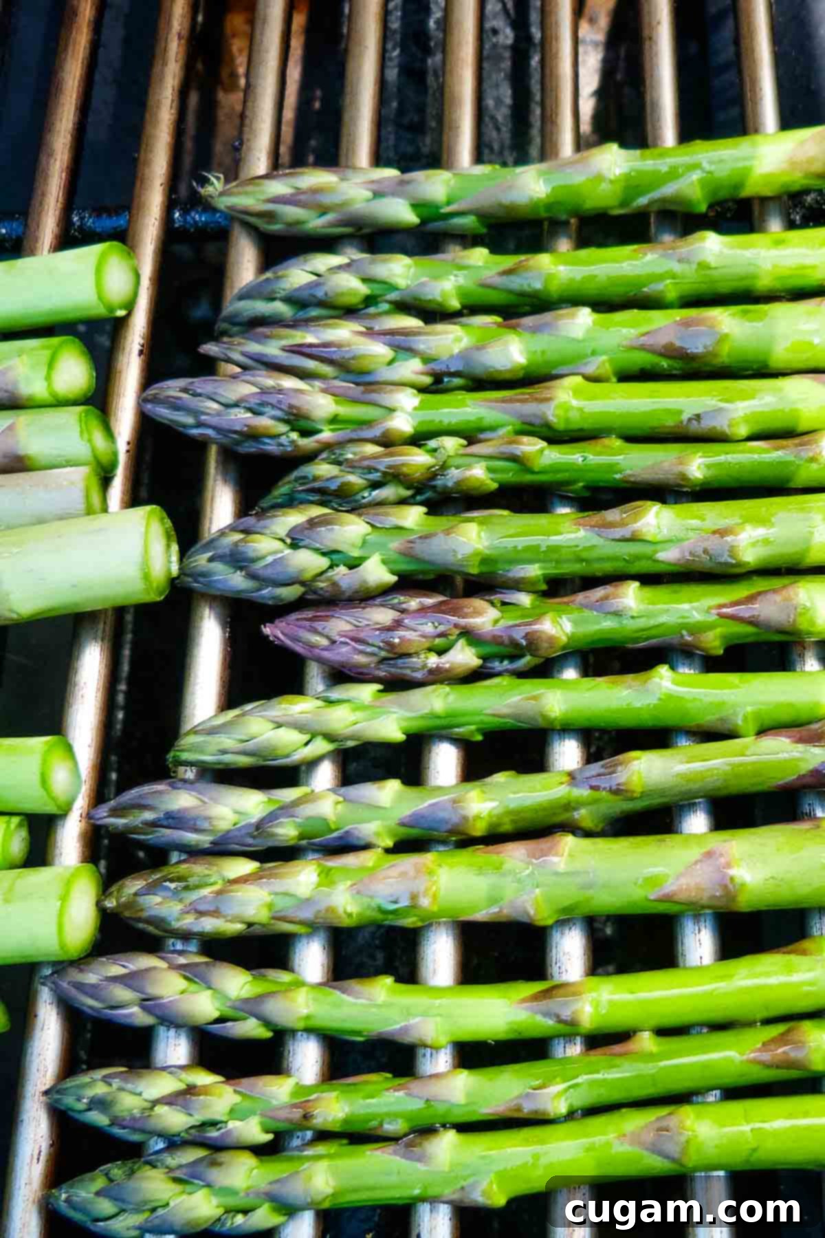 Asparagus spears perfectly laid across the hot grates of a grill, showing the beginning of char marks.
