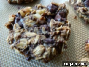 Healthy Cookies. Vegan. Glutenfree. No refined sugar
