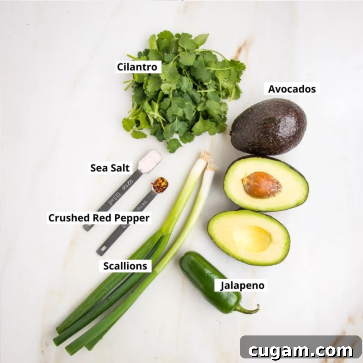 Four essential ingredients for guacamole: avocados, cilantro, scallions, and jalapeno peppers.