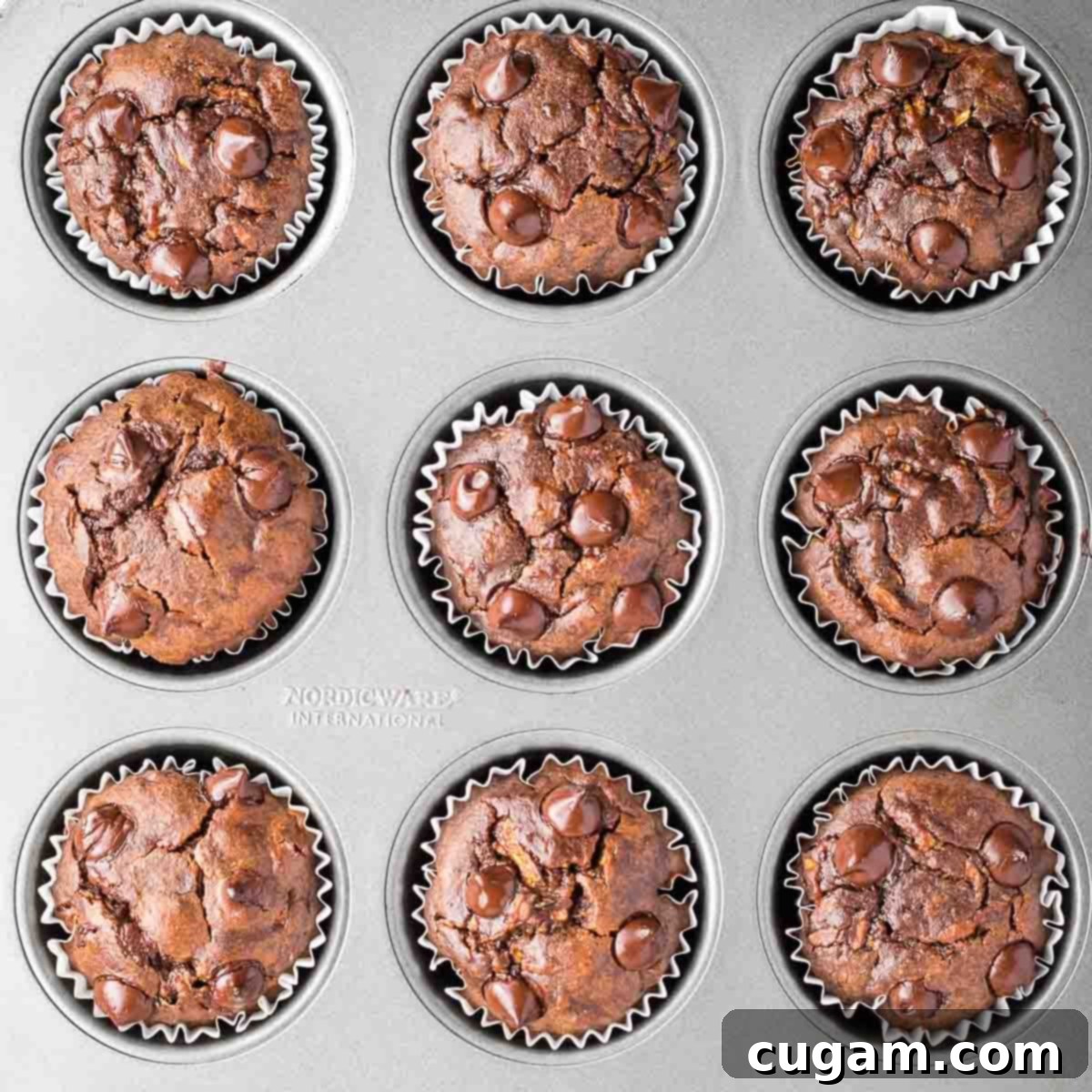 Decadent Double Chocolate Zucchini Muffins 11 Golden brown double chocolate zucchini muffins baking in a muffin tin, their tops perfectly domed and set.