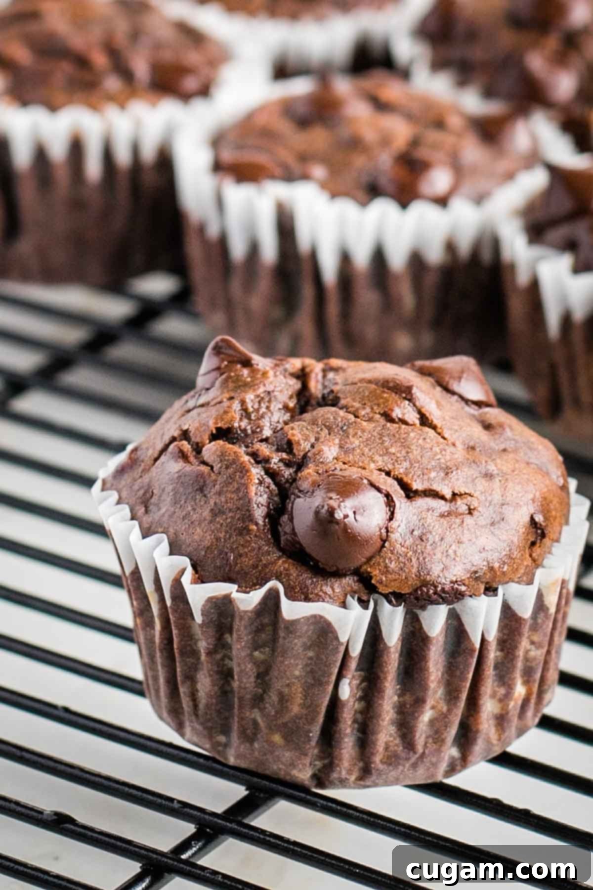 Decadent Double Chocolate Zucchini Muffins 12 Close-up of a double chocolate zucchini muffin cooling on a wire rack, its texture visible and chips slightly melted.