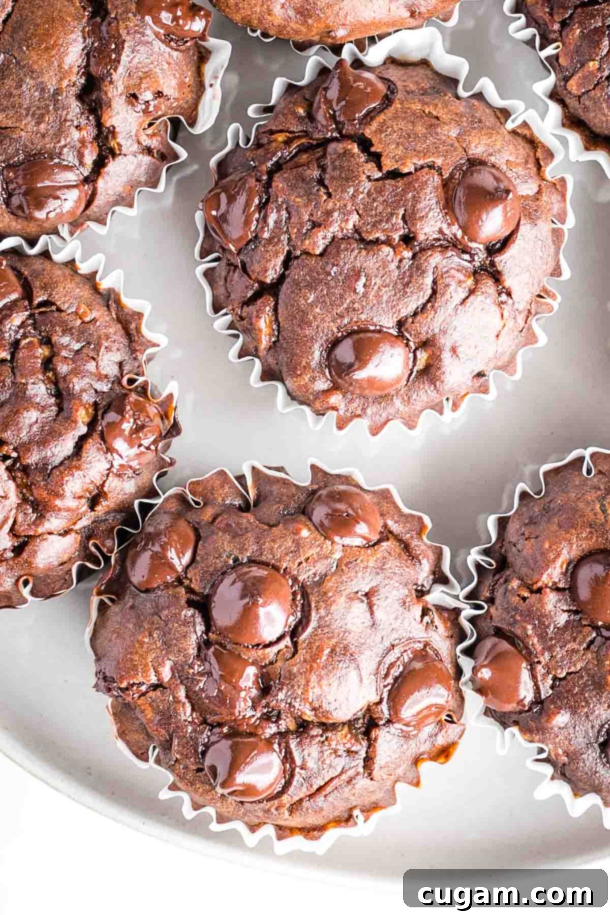 Decadent Double Chocolate Zucchini Muffins 13 A variety of freshly baked muffins, including double chocolate zucchini, resting on a cooling rack.