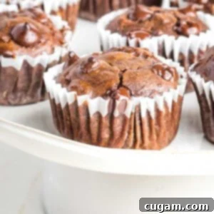 Decadent Double Chocolate Zucchini Muffins 14 A delicious double chocolate zucchini muffin with melted chocolate chips, resting in a white cupcake liner, ready to be eaten.