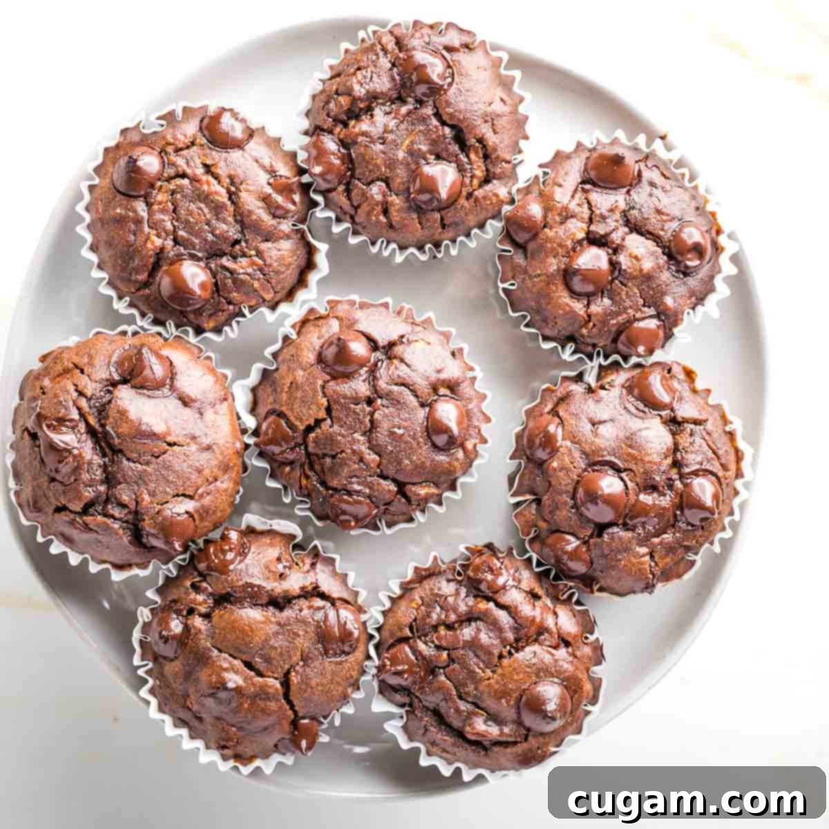 Decadent Double Chocolate Zucchini Muffins 3 A plate piled high with freshly baked double chocolate zucchini muffins, generously sprinkled with chocolate chips.