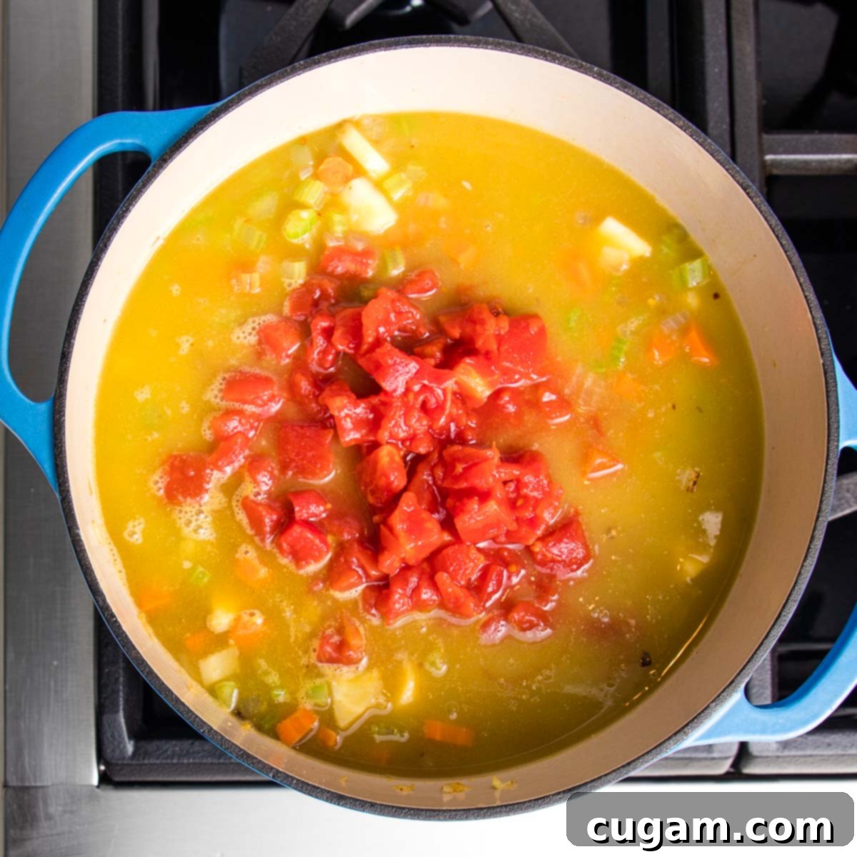 Dutch oven with soup, including chopped tomatoes and chunky vegetables, simmering in rich vegetable broth.