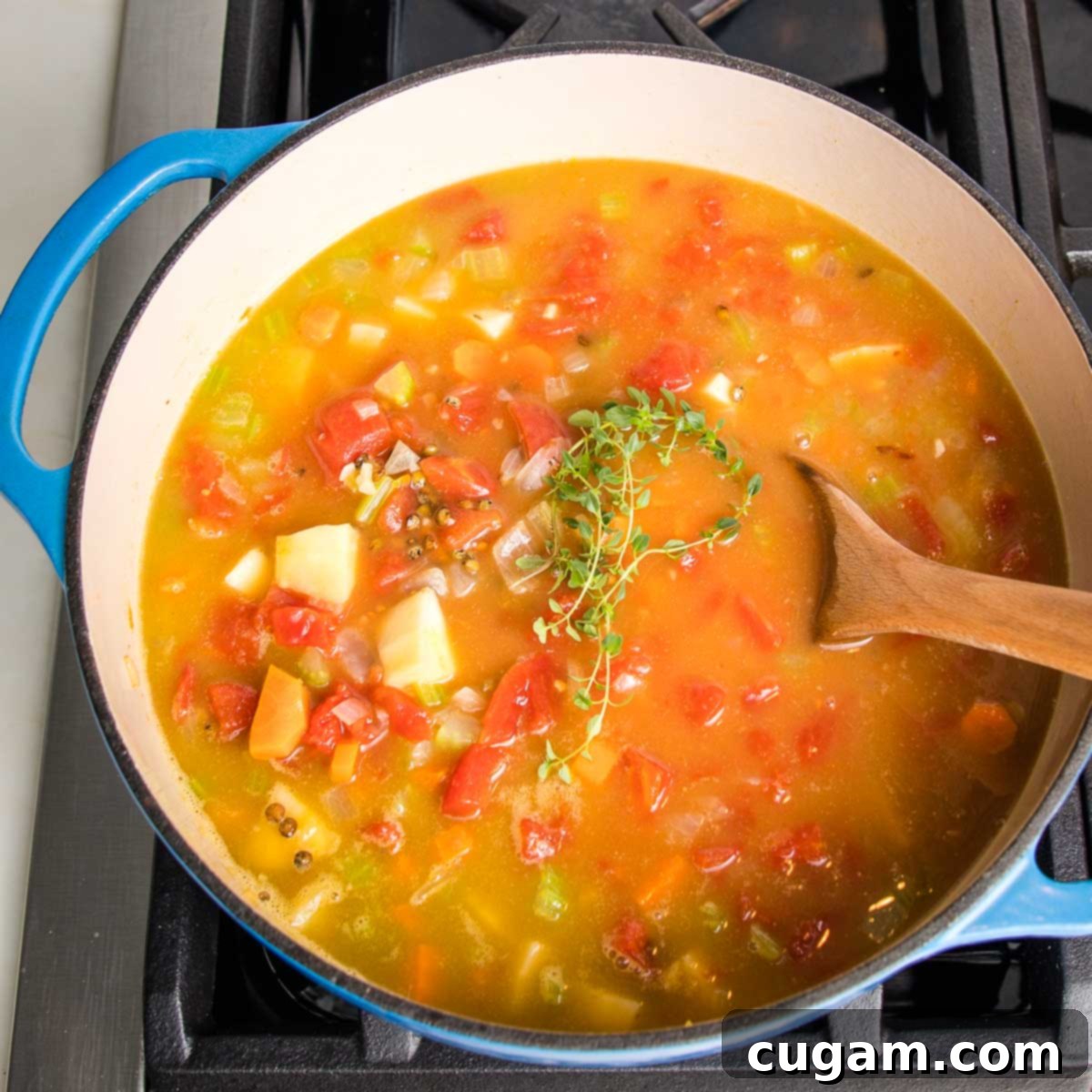 Dutch oven with broth, tomatoes and chunky veggies and a sprig of fresh thyme, ready for simmering.
