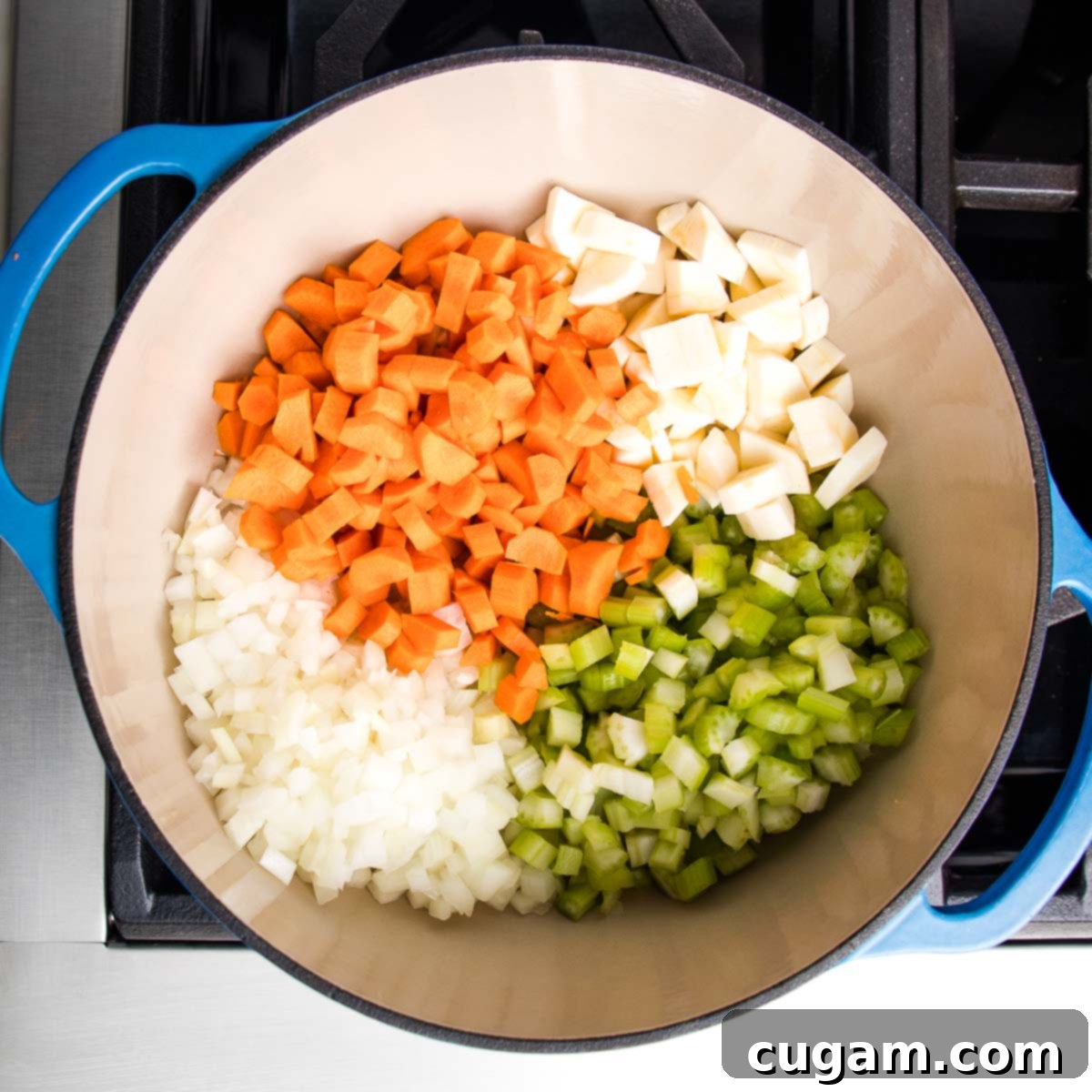 Dutch oven filled with sections of diced carrots, onions, celery and parsnips, beginning to soften, releasing their sweet aromas.