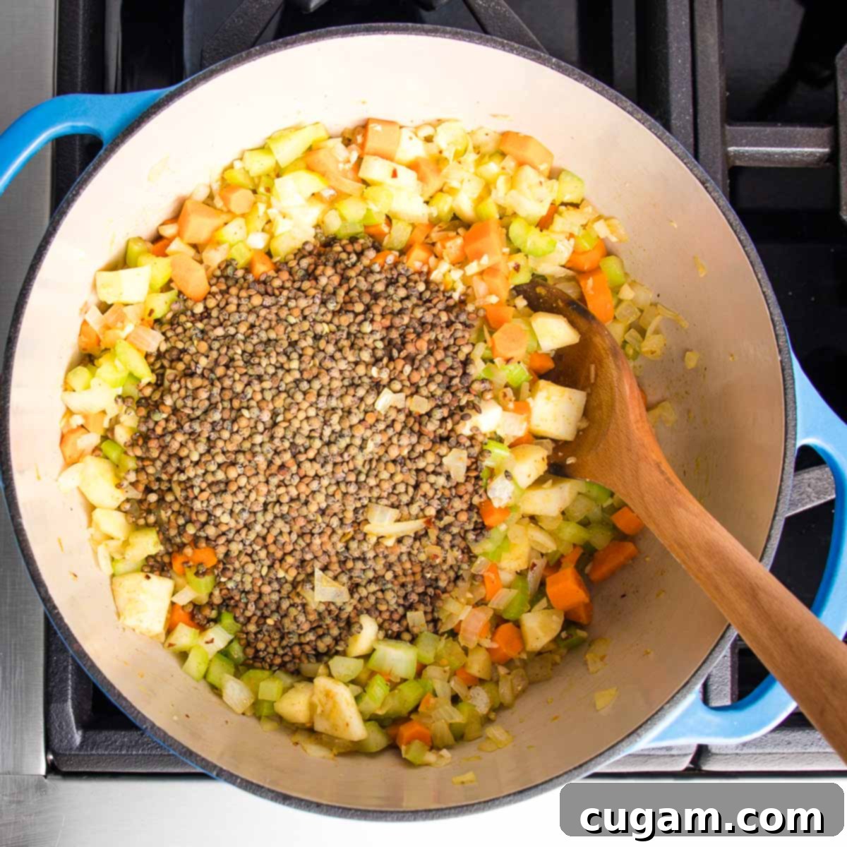Dutch oven with chopped veggies and small French green lentils, stirring to coat the lentils in spices.