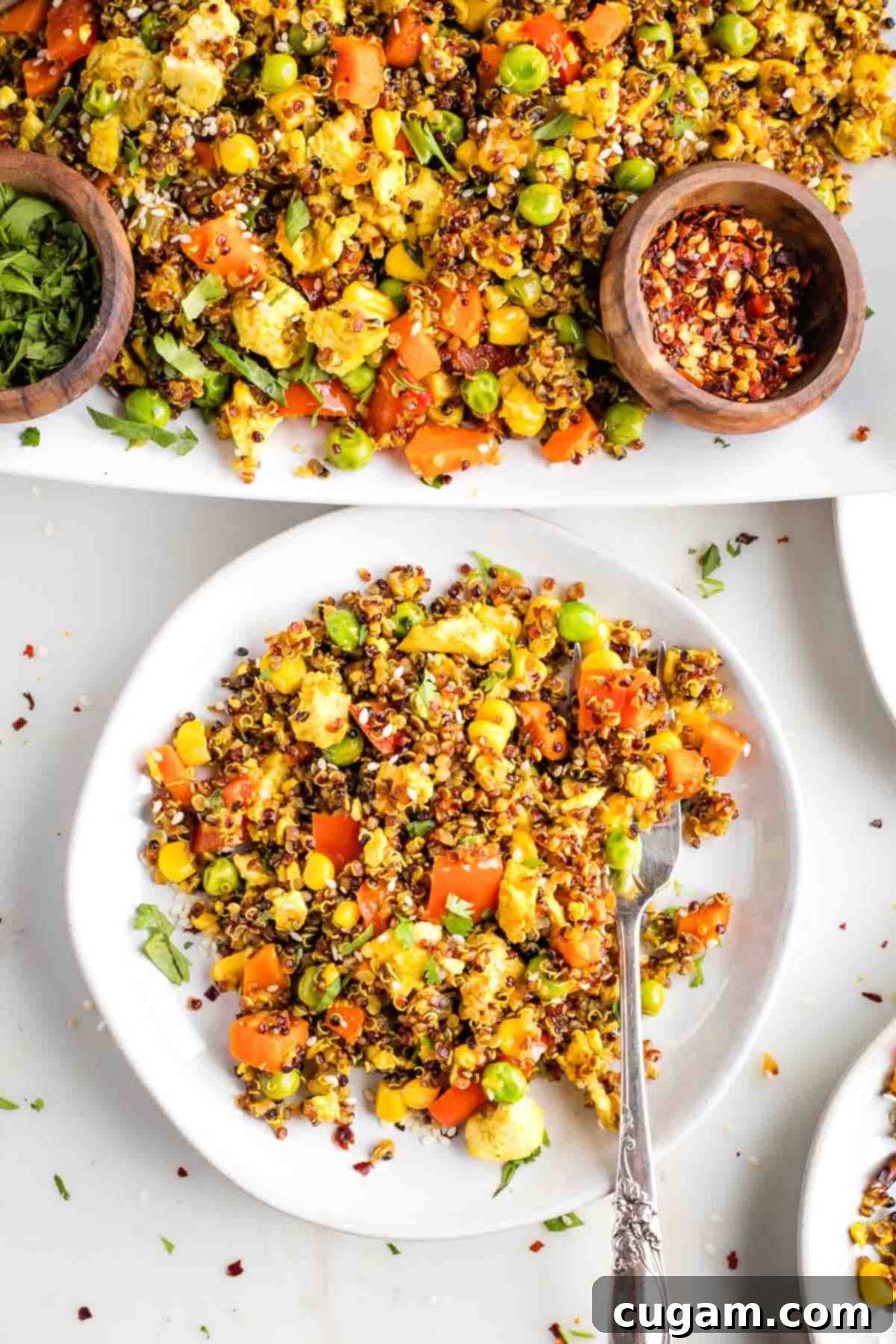 Plant-Powered Tofu Quinoa Stir-Fry 2 Platter of quinoa fried with veggies and tofu, spooned onto a plate.