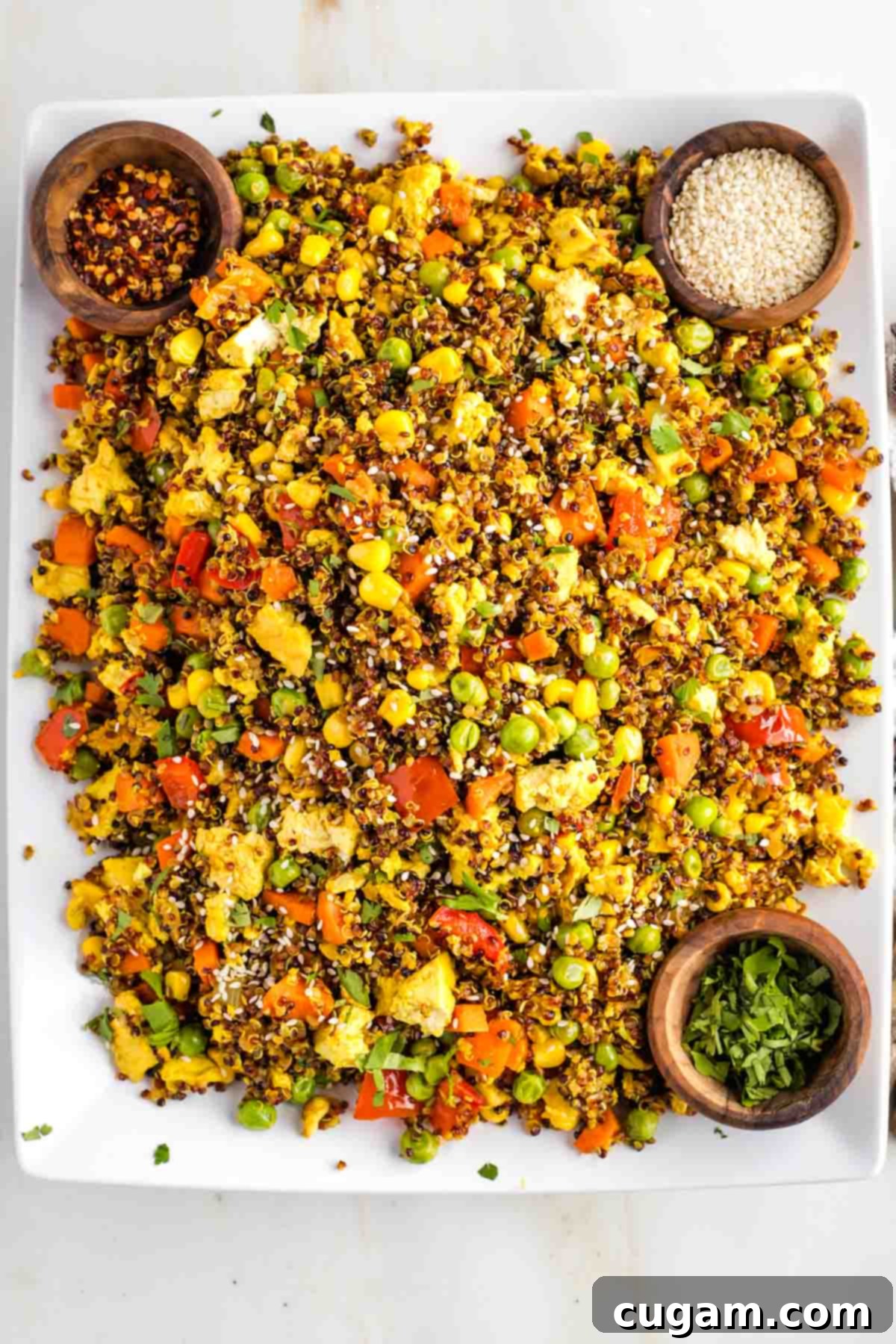 Plant-Powered Tofu Quinoa Stir-Fry 14 Vibrant Veggie Fried Quinoa with colorful vegetables and a golden tofu scramble, presented on a platter with small side dishes of fresh cilantro, sesame seeds, and crushed red pepper flakes for garnish.