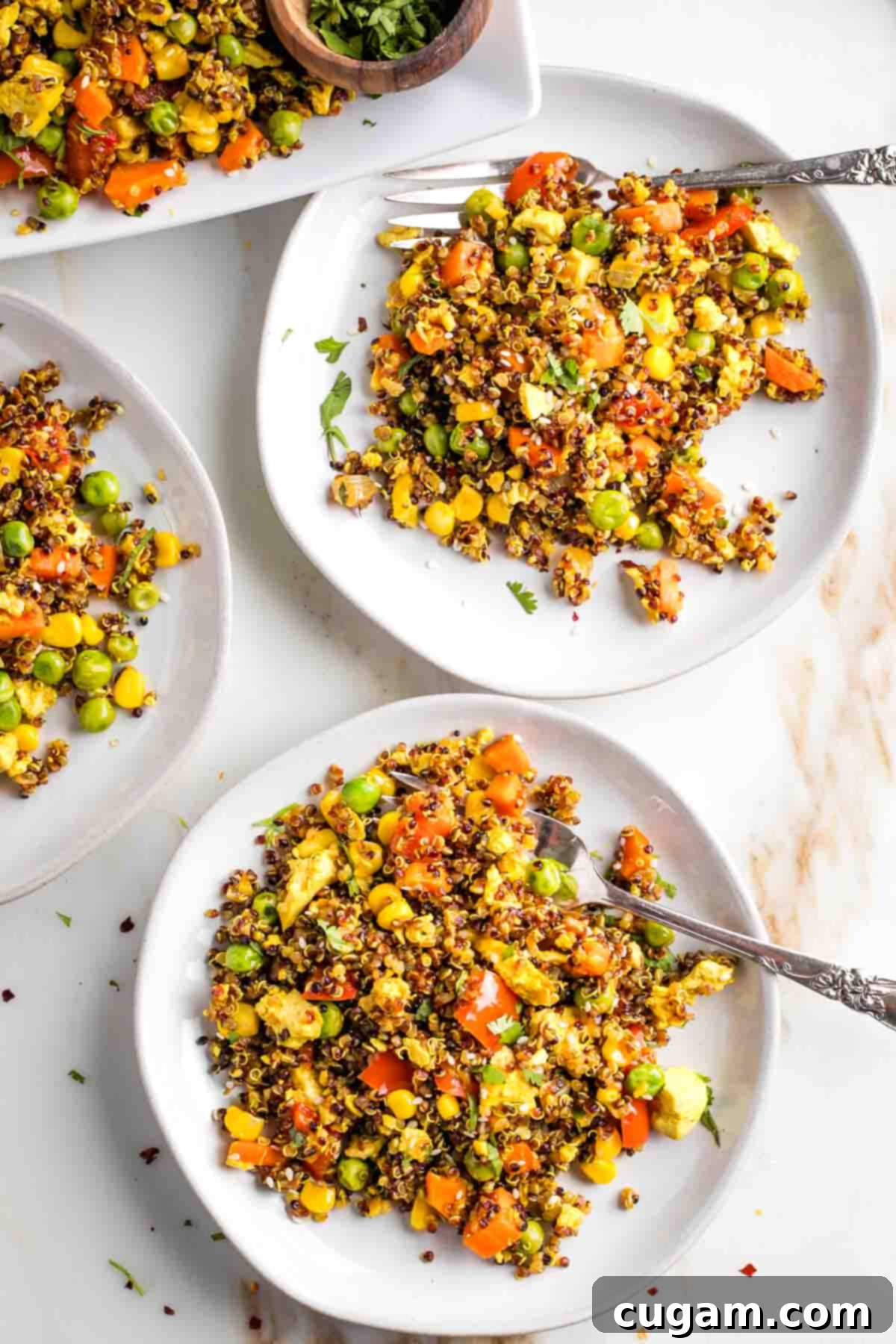 Plant-Powered Tofu Quinoa Stir-Fry 3 A close-up shot of the vibrant quinoa fried rice with visible tofu scramble, peas, corn, carrots, and bell peppers, ready to be served.