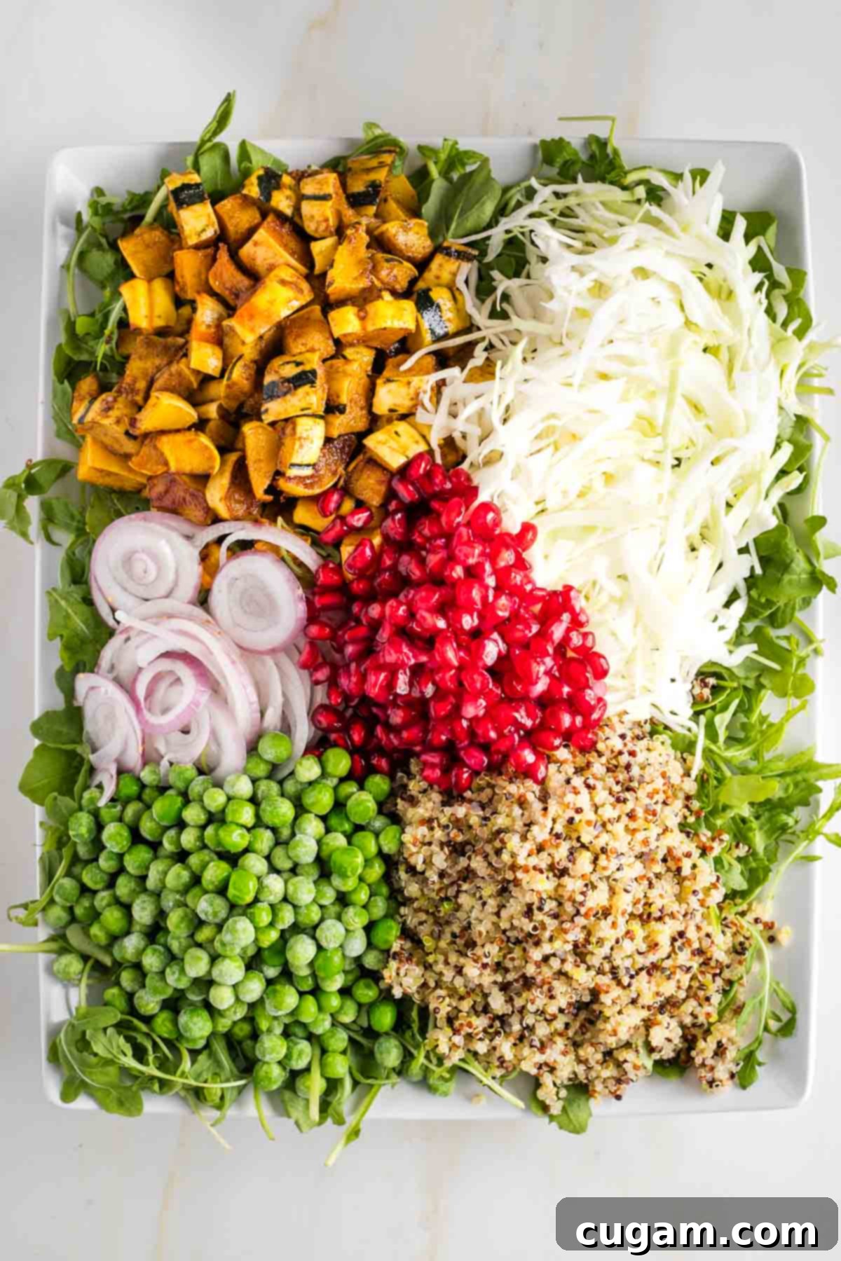 Heaps of sliced cabbage, roasted squash cubes, cooked quinoa, peas, pomegranate and shallots on a bed of arugula. 