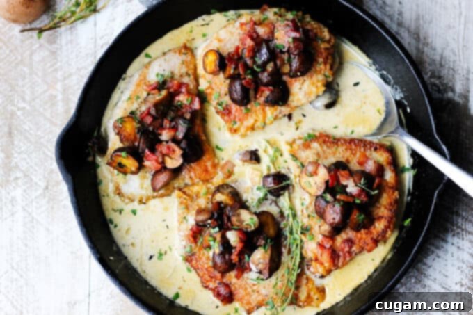 Pork chops in creamy white wine sauce with mushrooms and bacon in a pan, overhead, horizontal shot