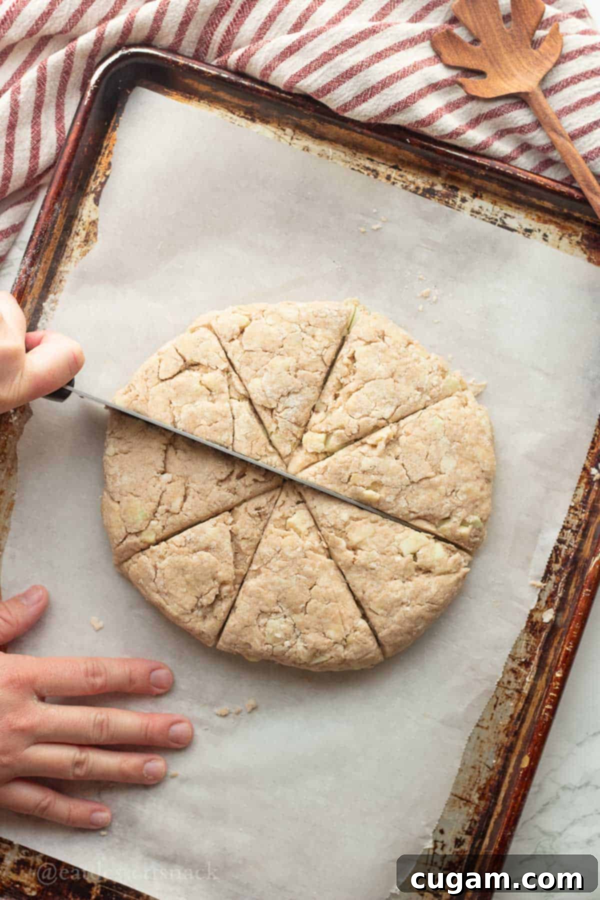 Slicing an 8-inch disc of apple scone dough into eight triangular wedges on parchment paper, ready for baking on a metal pan.