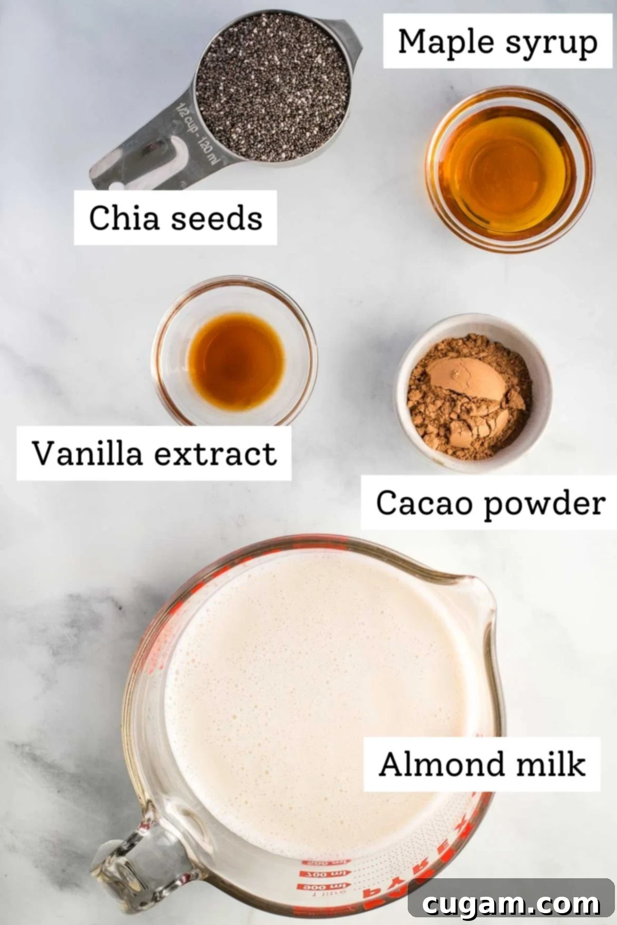 Labeled ingredients: chia seeds, maple syrup, vanilla extract, cacao powder, almond milk.