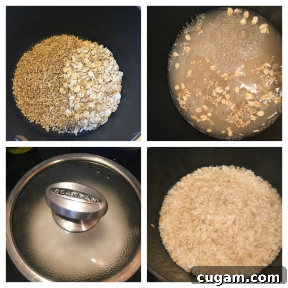 Steel cut oats and old fashioned rolled oats together in a small pot with water. 