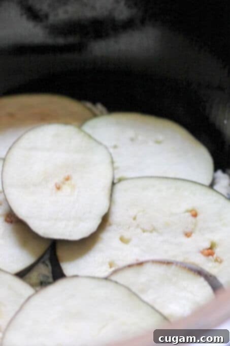 Eggplant slices layered over ricotta in slow cooker