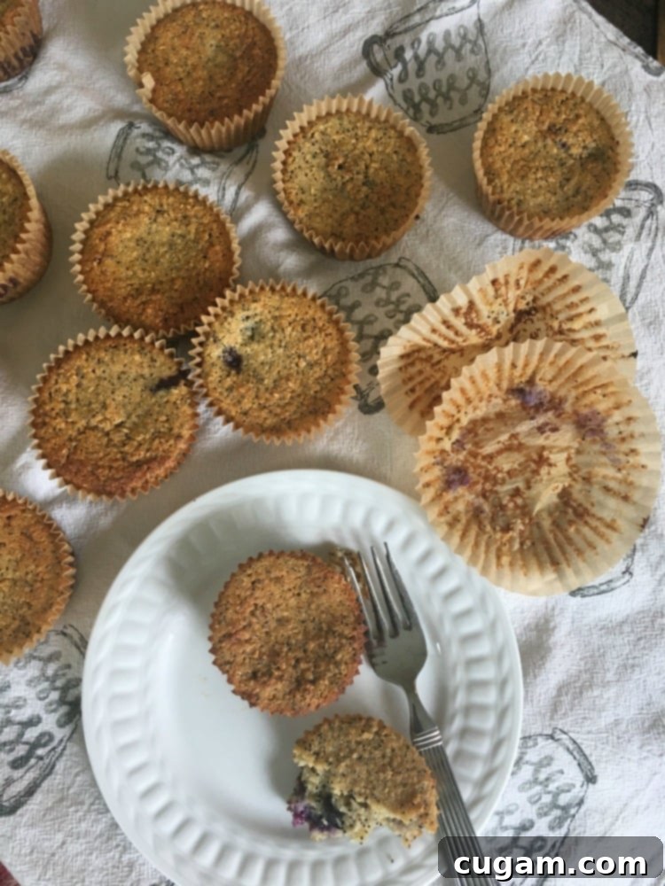 Freshly baked gluten-free and vegan lemon poppy seed muffins, golden brown and inviting. These healthy muffins are a delicious alternative for mindful eating.