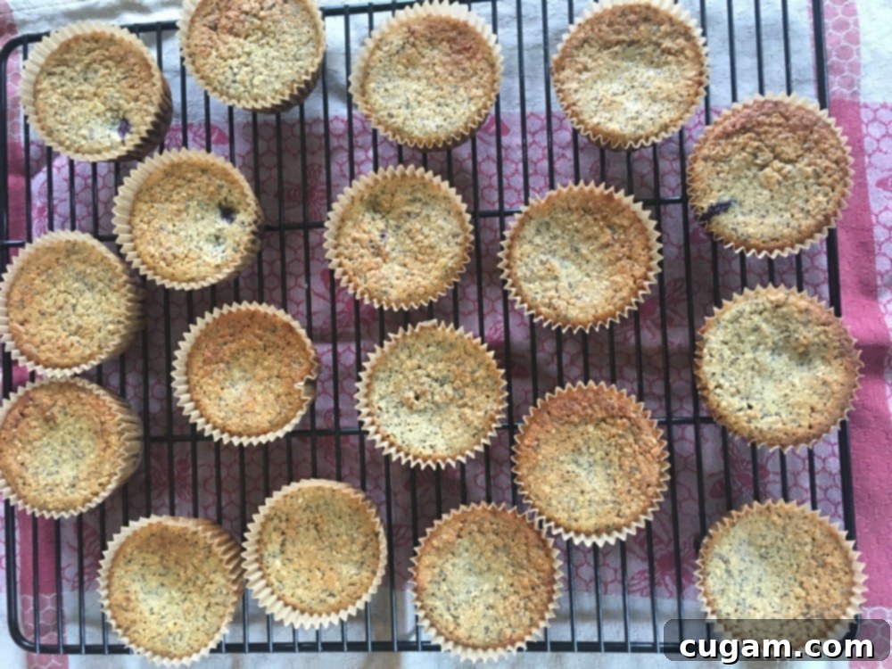 Warm, healthy, and gluten-free muffins fresh from the oven, offering a nutritious and tasty treat.