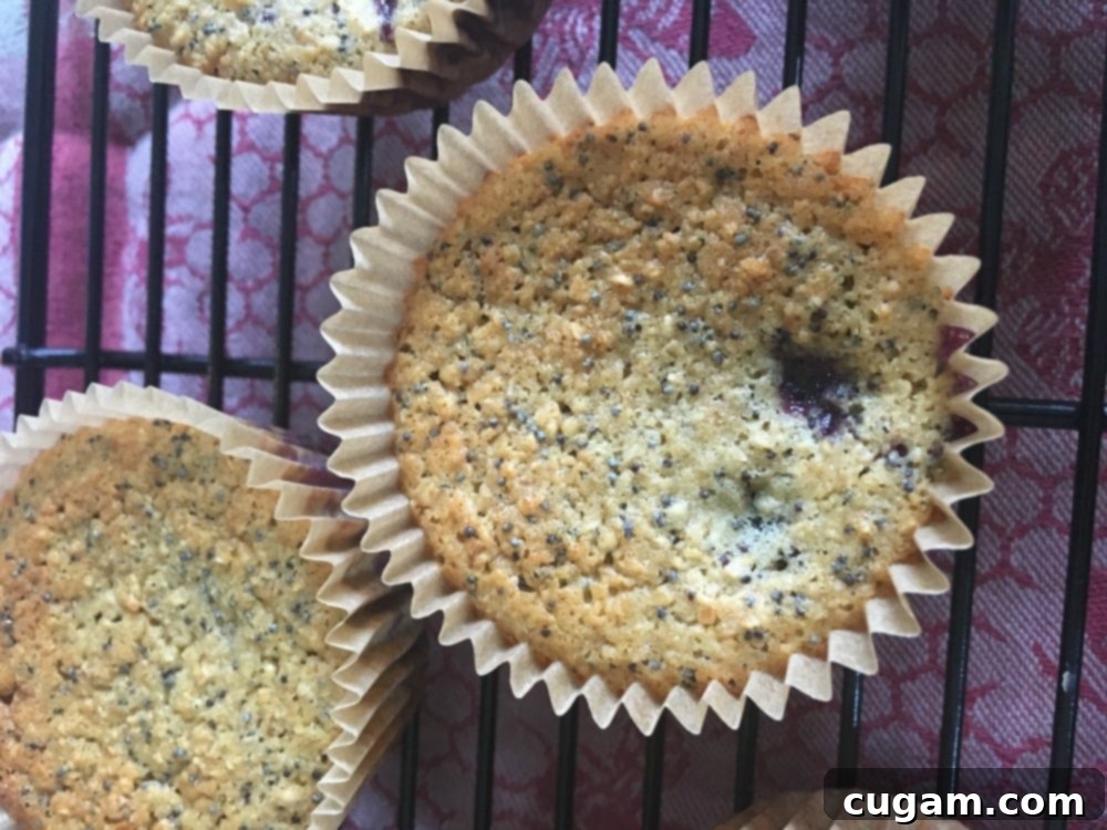 Close-up of a gluten-free lemon poppyseed blueberry muffin, highlighting its perfectly moist interior and visible juicy blueberries. Ideal for a healthy lifestyle.