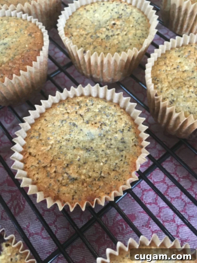 A stack of delicious vegan and gluten-free muffins on a plate, showcasing their inviting golden-brown crust and wholesome appearance. Perfect for a healthy breakfast.