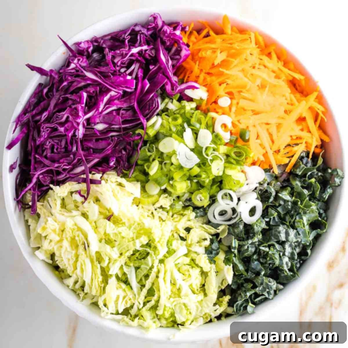 Colorful sections of shredded veggies: purple cabbage, carrots, kale, scallions and napa cabbage.