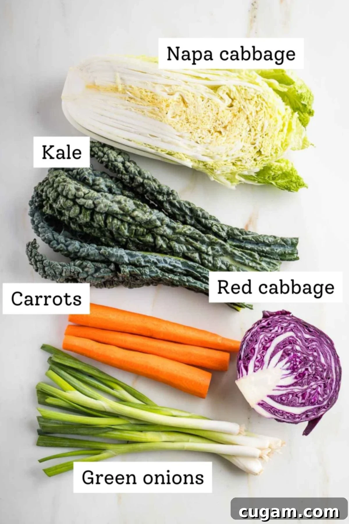 Labeled whole ingredients: Napa cabbage, kale, carrots, green onions, red cabbage.