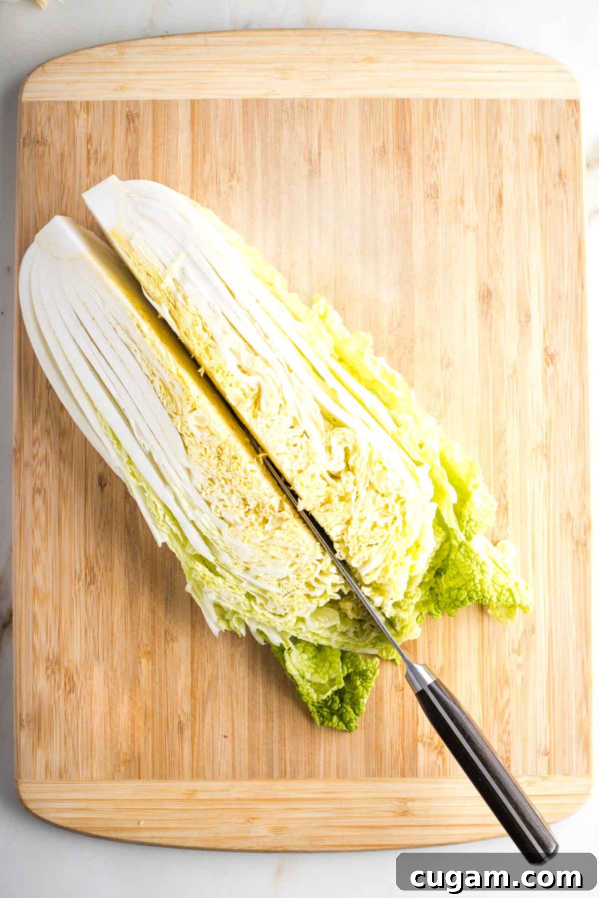 Cutting through the core, lengthwise of a napa cabbage.
