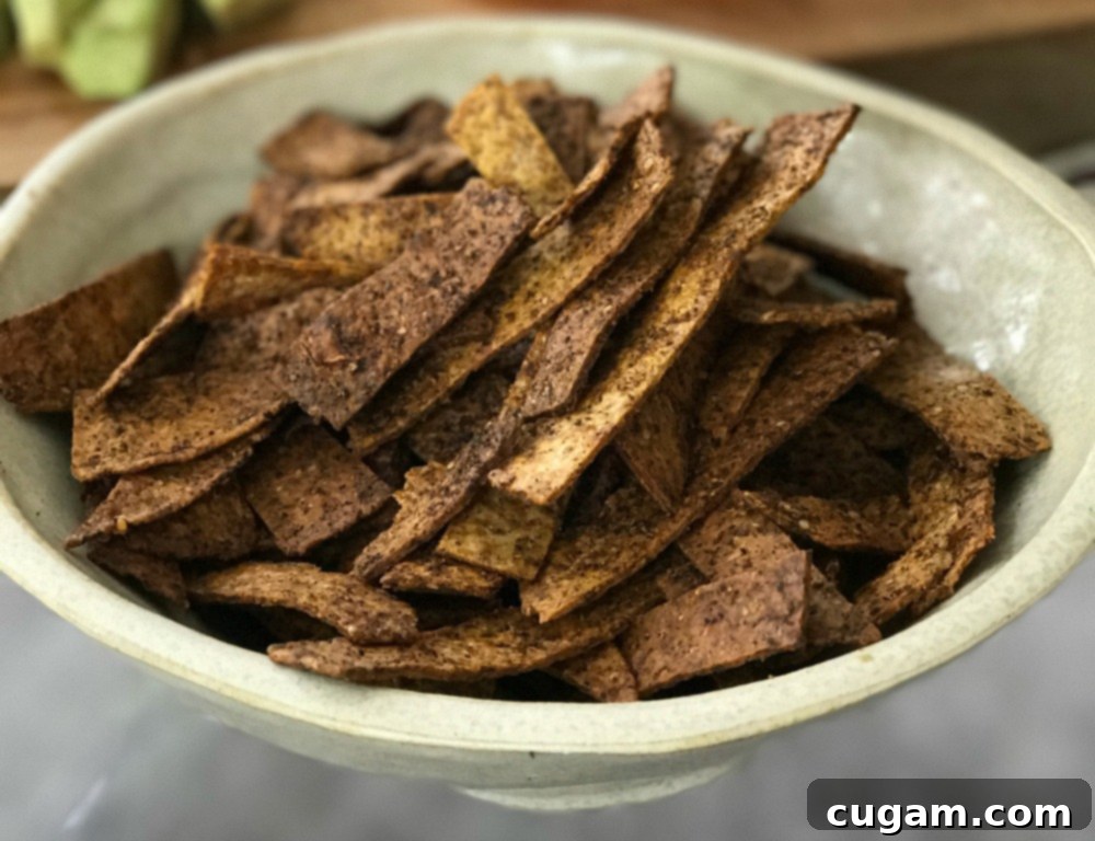 Crispy, spiced baked tortilla strips
