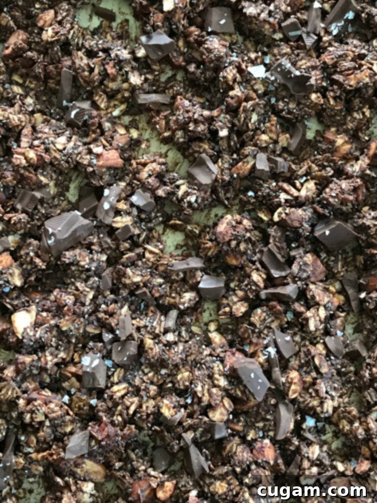 Chocolate granola with large chunks of dark chocolate. 