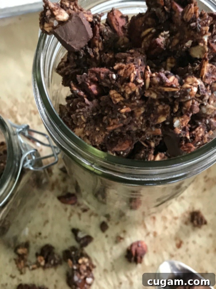 Close up of chocolate granola in a jar.