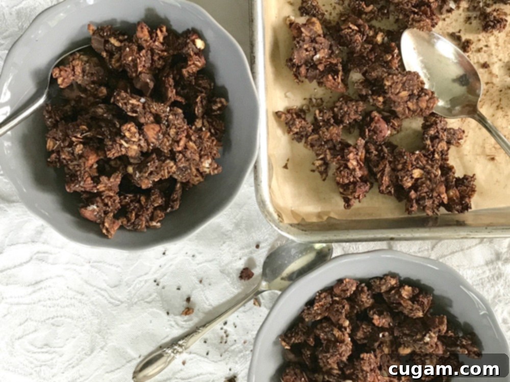 Chocolate granola in a bowl, served with a spoon from a baking tray. 